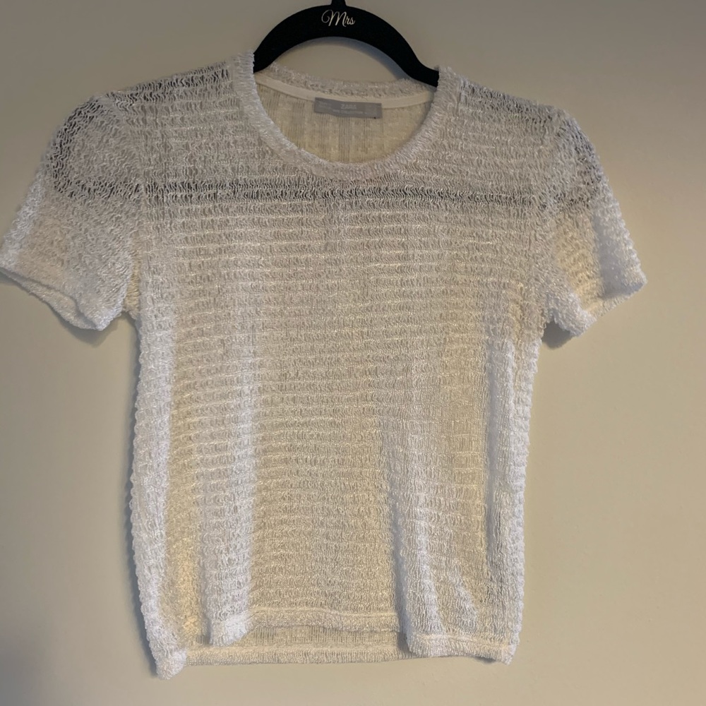 Zara Sheer Fuzz Top